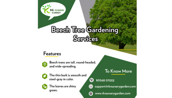 Beech Tree Gardening Services